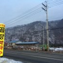 고고 곰탕 이미지