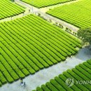 서광리-26 이미지