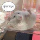 특이한 광고기획 이미지