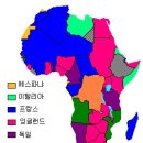 아프리카 티스토리