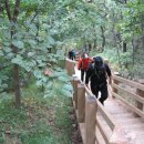 성은주유소 이미지