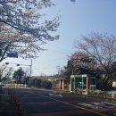 대흘민박 이미지
