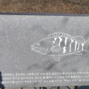 버들치휴게소