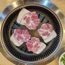 고기미담 이미지