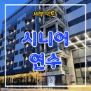 [성인 및 시니어] 기초영어 | 시니어 연수 : 막탄 블루오션 어학원에서 여유와 영어를...