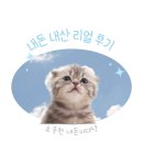 [인천여행/1일차] 인천 영종도1박2일 여행 가볼만한 곳
