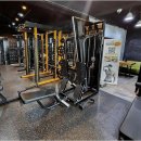 그린핏 코리아 이미지