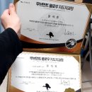 무브먼트플로우 자격과정 후기 - 바디컨트롤트레이닝시스템 / 시스템 + 맨몸운동