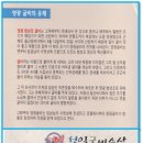성일굴비