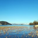 신정행정사사무소 이미지