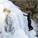 국립청옥산자연휴양림관리소 이미지