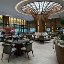 수영세탁 | 호이안 가성비 호텔 벨레리브 수영장, 조식, 세탁서비스 후기! 다낭 1월 수영은 추워요🥶