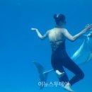 인어공주 이미지