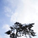 초당동-3 이미지