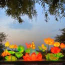 합덕연지마을 이미지