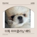 내돈내산 강아지 눈물 자국 지우개 패드 추천 더독 아이클래닝패드(전 후 비교 사진 有)