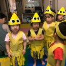 팡팡태권도장 이미지