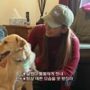 미소한식당 이미지