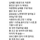 오징어실채 볶음 이미지