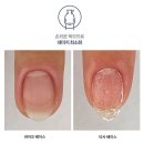 바이오퍼포먼스 이미지