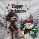 환해지개 이미지