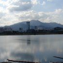 수출대로-13 이미지