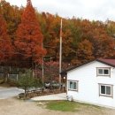 금리마을펜션 이미지