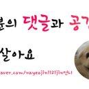 해맑은 동물병원 이미지