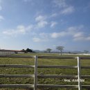 장동목장 이미지