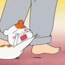 카페베르사유