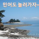 민어도 이미지