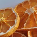 지전농장 이미지