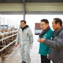 울진시장 1 이미지