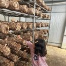 (주)행복한농장 이미지