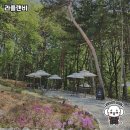 라플랜 | 자연 속 쉼터, 라플랜비 방문 후기