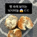 나주낚시 Daum카페