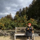 원규농장 이미지