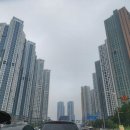 2022-00008 | 일산 고양 소노캄 스위트 후기