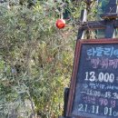 라뜰리에봄봄 이미지