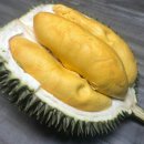 두리안