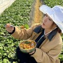 새서울농장 이미지