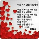 모닥불 동영상 이미지