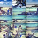 포도나무 민박 이미지