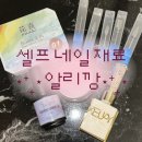 셀프네일 재료 알리깡_WEIJAYI 시럽젤, 팔레트 ep.3