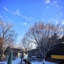 목련 어린이집 이미지