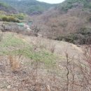 큰골짜기농장 이미지