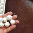 옛날 팥죽 재료 이미지