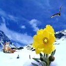 오분도둑 이미지