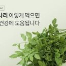 피를 맑게하는 음식 미나리 먹으면 효능 이미지