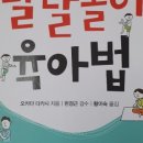 조회 수 순위 TOP5
